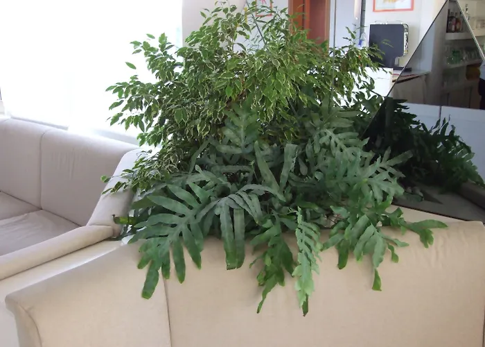 Manuela Hotell Cervia